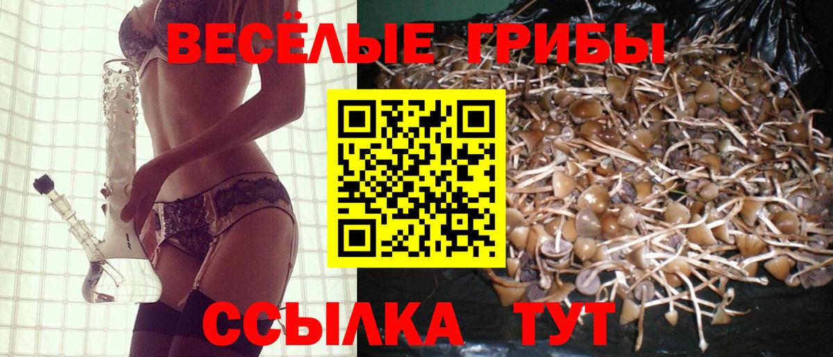 Псилоцибиновые грибы мухоморы Воронеж