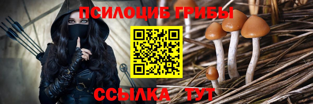 Псилоцибиновые грибы прущие грибы  Вход с VPN  Воронеж 